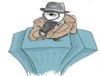 水城区取证公司解说第三者承担离婚赔偿责任吗